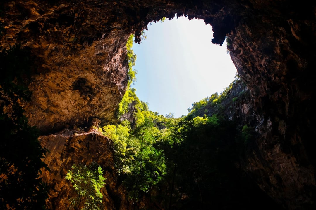 Kości z jaskini należały do kogoś innego. Dopiero po latach odkryto, czym był ten pierzasty stwór