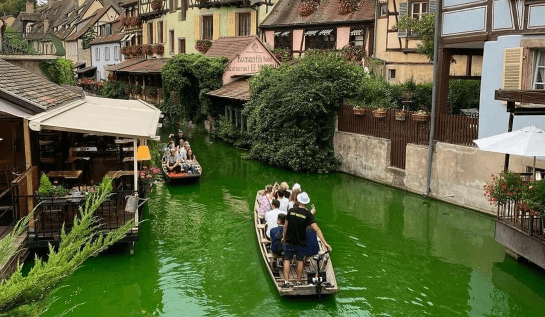 Ekoaktywiści czy już ekoterroryści? Wlali do rzeki zieloną farbę, ale skutków jakie wywoła nie przewidzieli