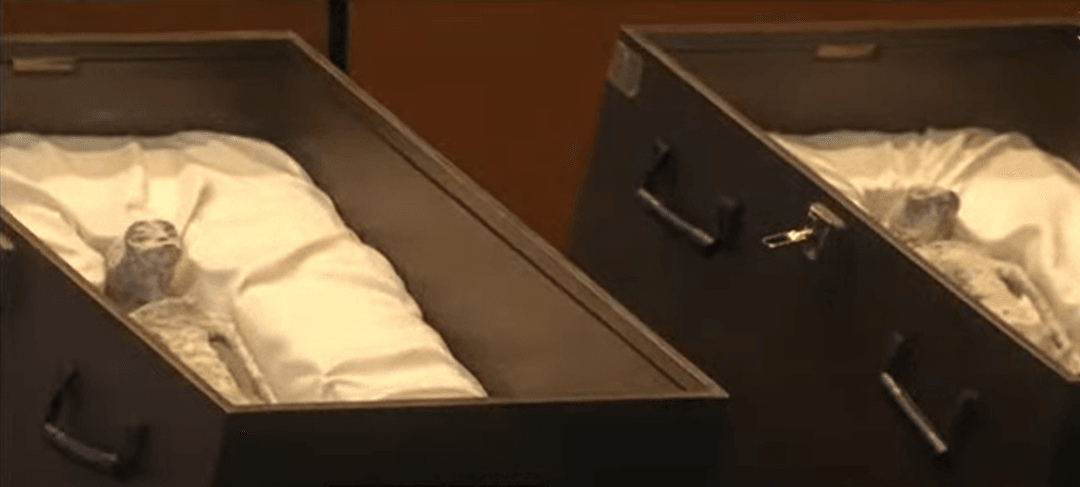 Mumie obcych wystawili publicznie w parlamencie. Czy tak właśnie wyglądają kosmici?