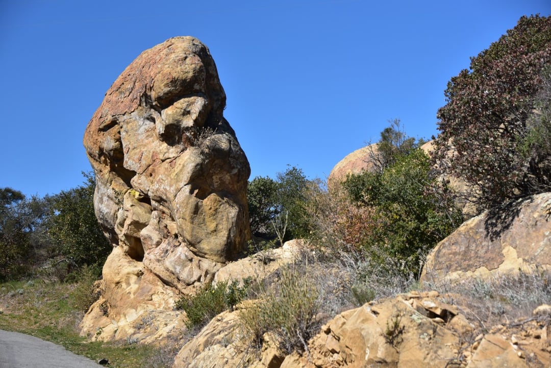 Doszukujesz się twarzy w przypadkowych kształtach? Masz wiele wspólnego z jaskiniowcami