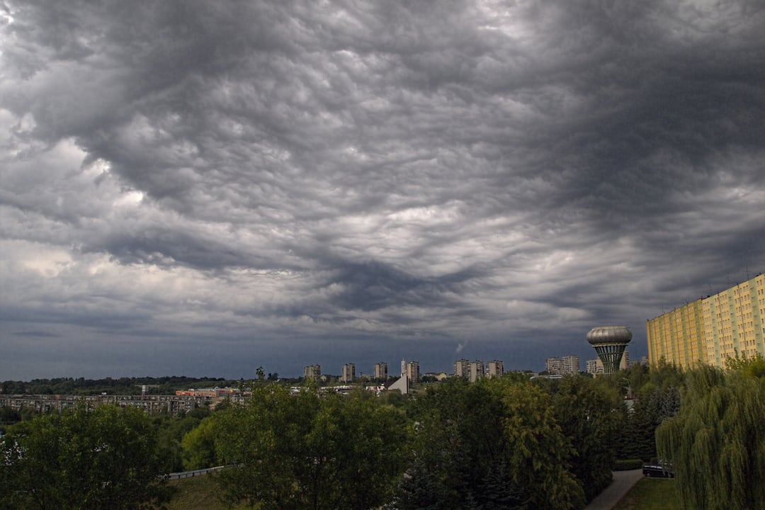 W jakiej strefie klimatycznej leży Polska? Mówi nam o tym nie tylko temperatura