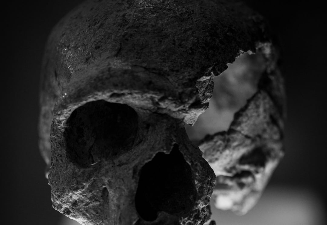 Gigantopitek to największa istota, która kiedykolwiek stąpała po Ziemi jak człowiek