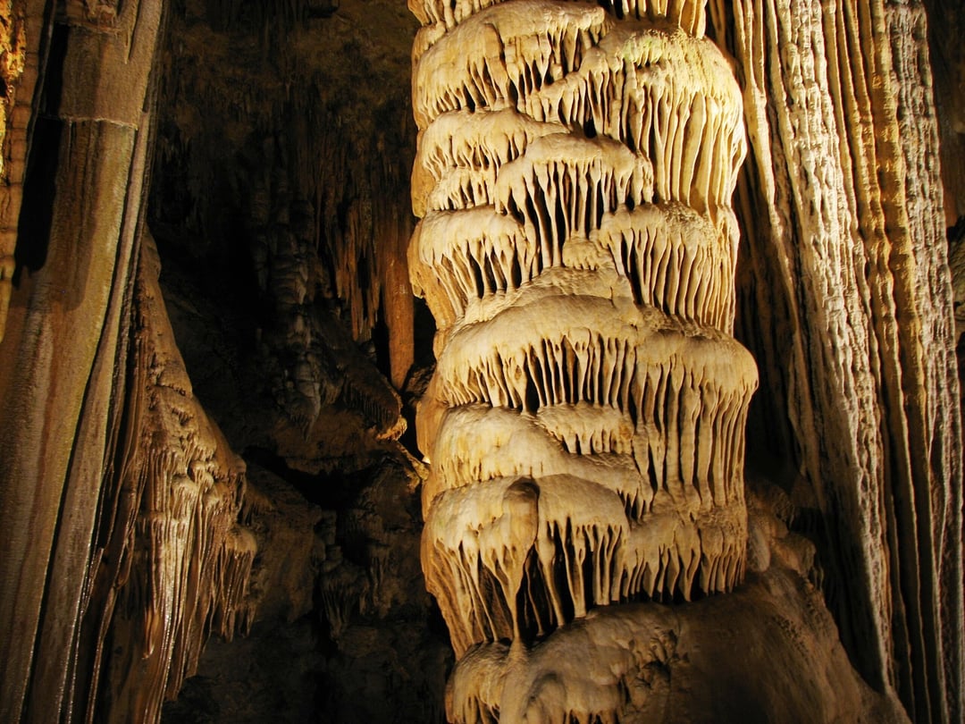 Instrument muzyczny sprzed 300 milionów lat. Niebywałe znalezisko w głębokiej jaskini 