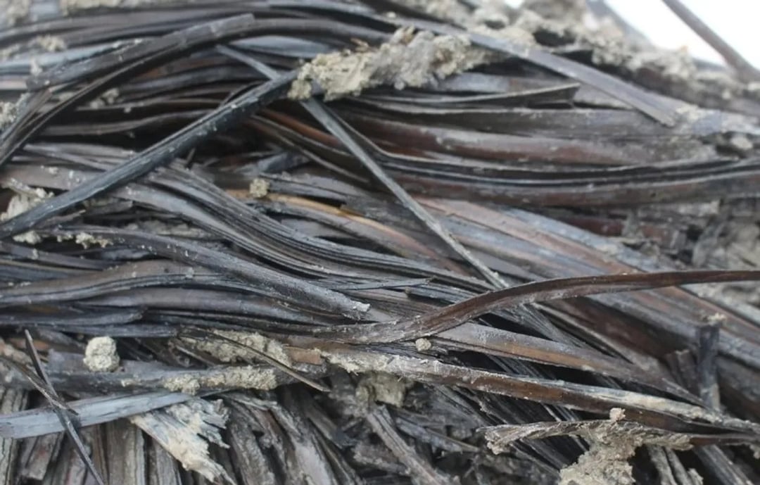 Matematyka stała tam na wysokim poziomie już tysiące lat temu. Zapierające dech w piersiach znalezisko w grobie