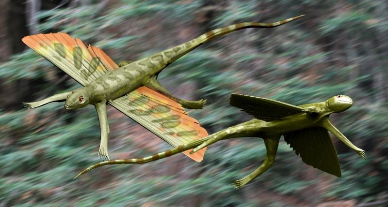 Student znalazł szczątki latającego jaszczura o dziwnej urodzie. Był starszy niż dinozaury