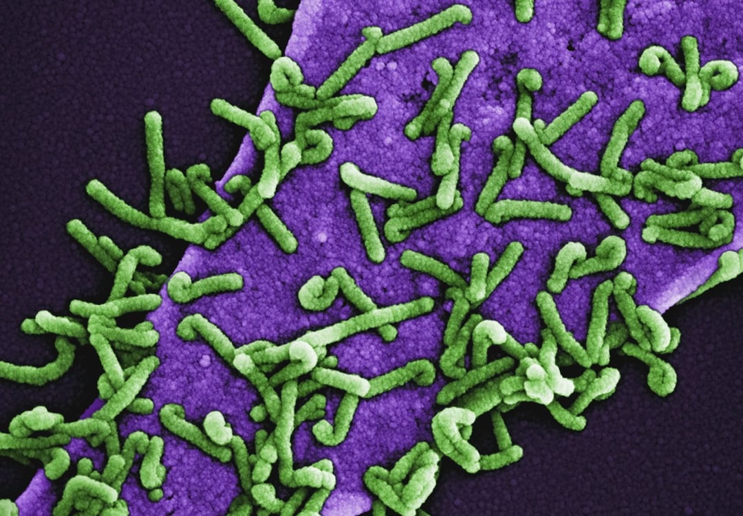 Nosimy w sobie tajemnicze obiekty. Te “obeliski” są niepodobne do czegokolwiek innego
