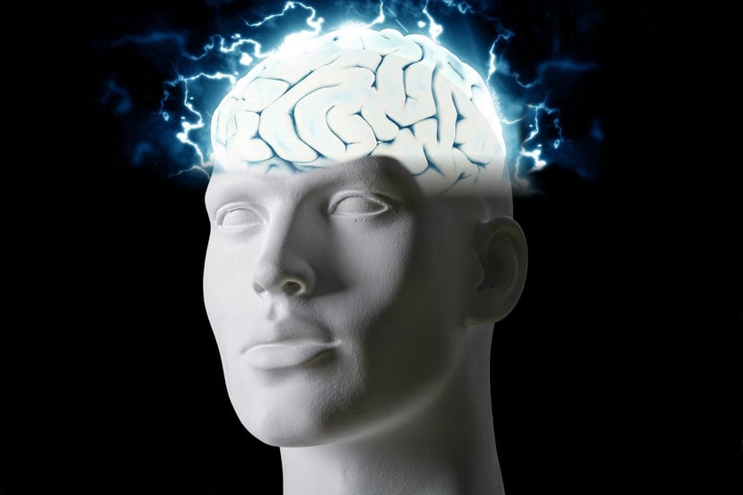 Neurony nie są rozmieszczone w mózgu w przypadkowy sposób. Odkryto matematyczny wzór, który za tym stoi