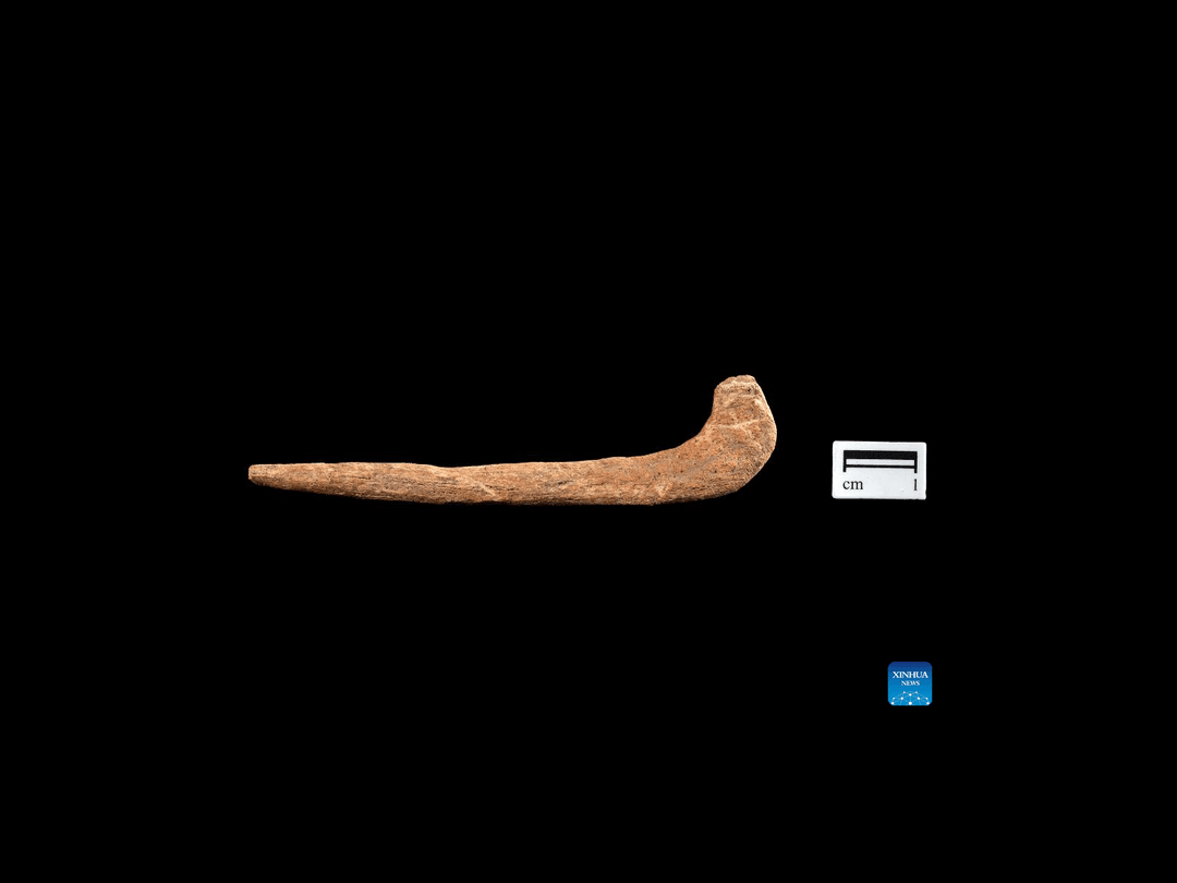 Aż trudno uwierzyć, od kiedy te tereny zamieszkiwali nasi przodkowie. Nowe znaleziska nie pozostawiają wątpliwości