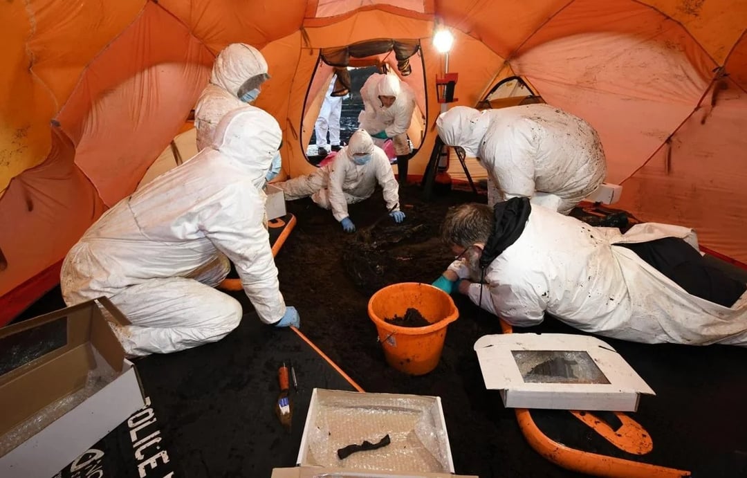 Szczątki, które kompletnie zaskoczyły ekspertów. W ich pochodzenie aż trudno uwierzyć 