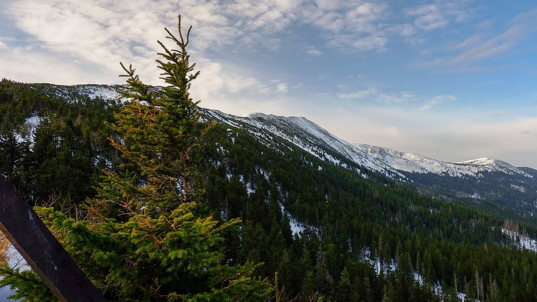 Nie trzeba jechać w Tatry, by poczuć adrenalinę. Ten szlak w Beskidach to zapewni