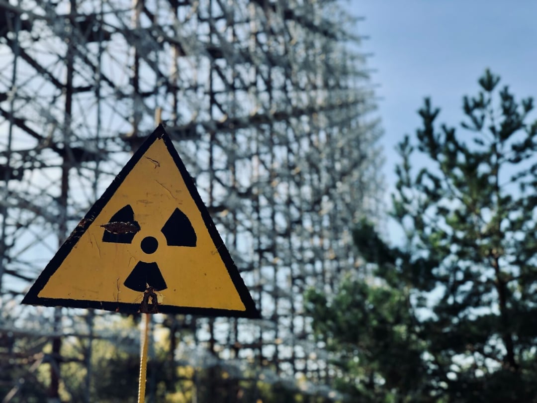 Czarnobyl jako egzamin przetrwania. Przyroda go zdała