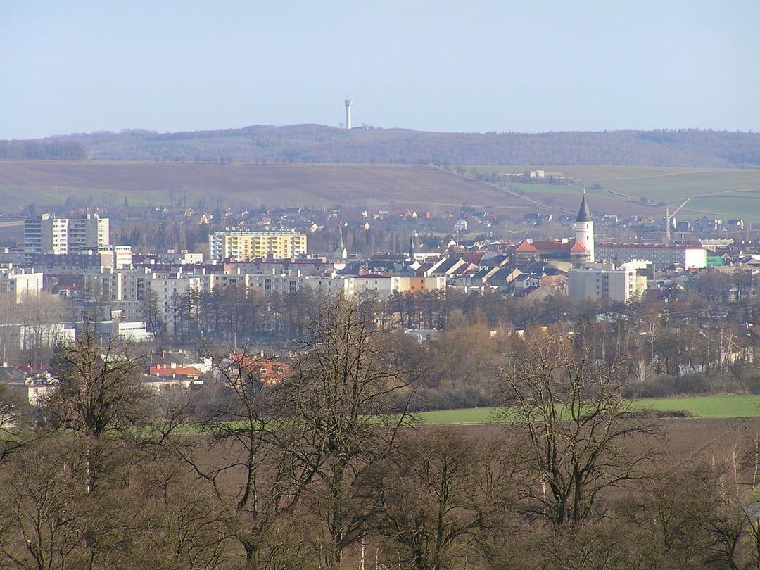 1000 lat temu przemieszczano się w niecodzienny sposób. Archeolodzy mają na to dowód 