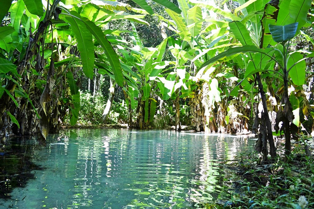 Tamtejsza sztuka naskalna liczy tysiące lat. Archeolodzy odnaleźli aż 16 nieznanych wcześniej stanowisk