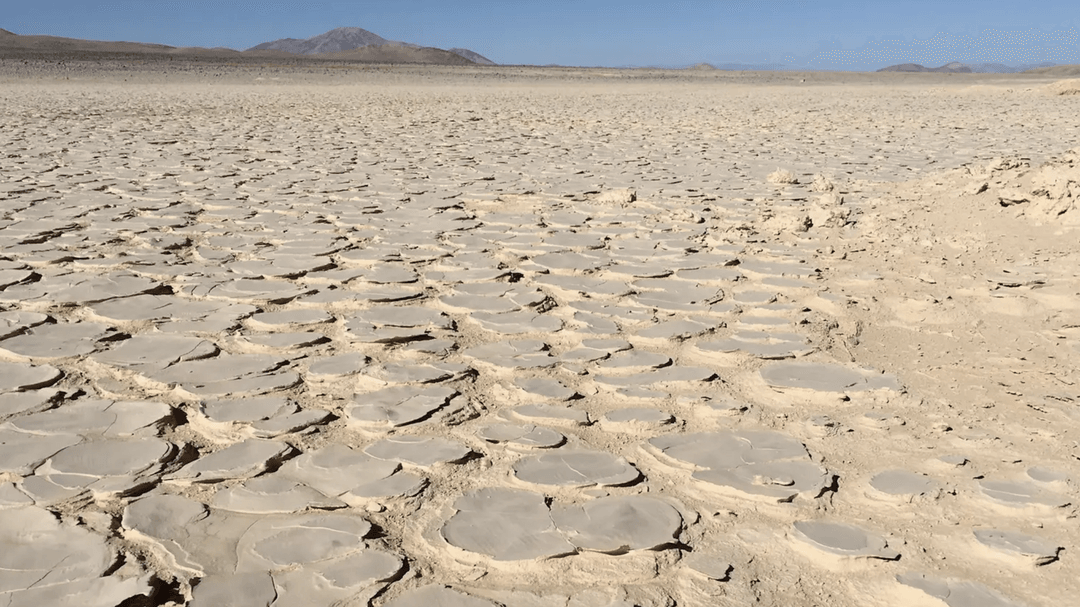 Cztery metry pod powierzchnią pustyni Atakama odkryto niesamowite bakterie