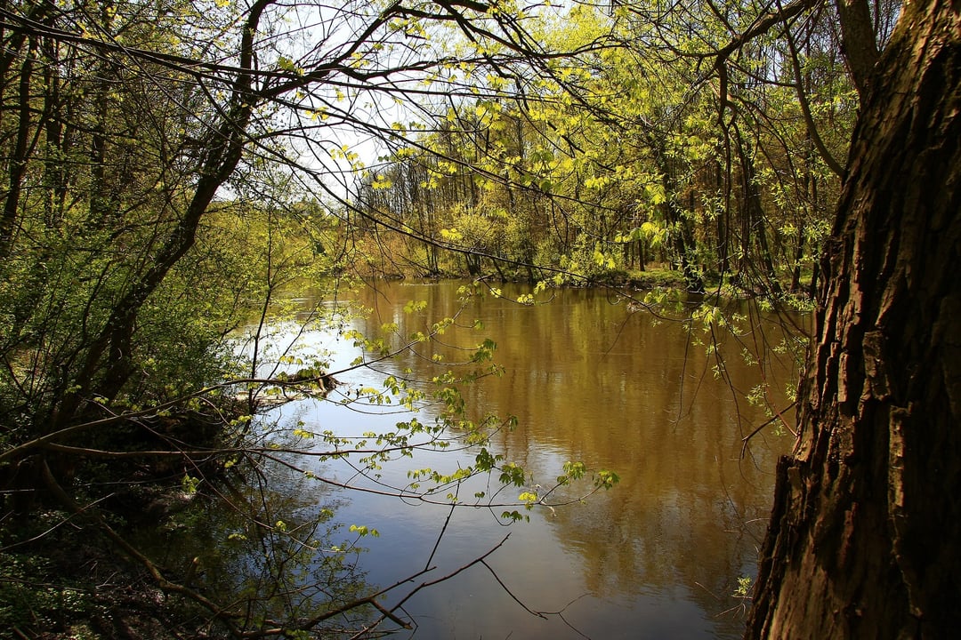 Neolityczny sztylet z Lubelszczyzny. To znalezisko wpływa na historię naszych ziem