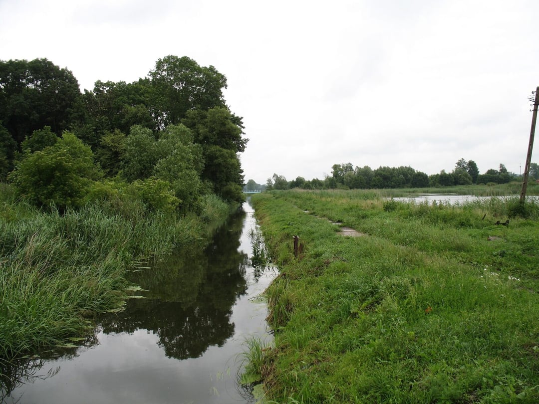 Ta siekierka ma 6000 lat. Sensacyjne znalezisko miało miejsce w Polsce