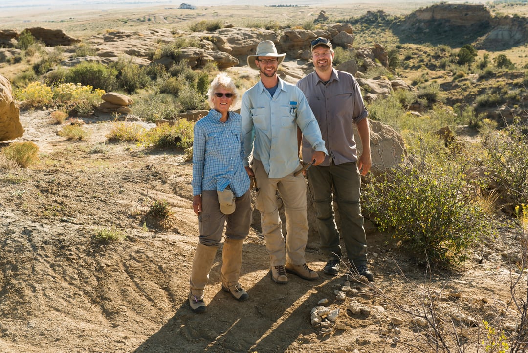 Prababcia krowy odkryta w górach. Skamieniałe znalezisko otwiera nową kartę historii