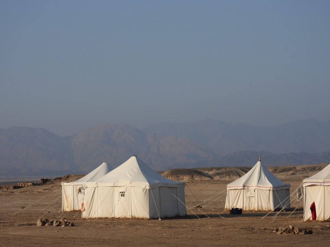 Starożytny cmentarz jest pełen szkieletów, choć nie należą do ludzi. Znaleźli go polscy archeolodzy