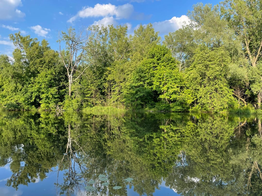 Polskie przedsiębiorczynie i drzewa w Wilanowie.  Sukces Pisany Szminką inspiruje kolejne pokolenia