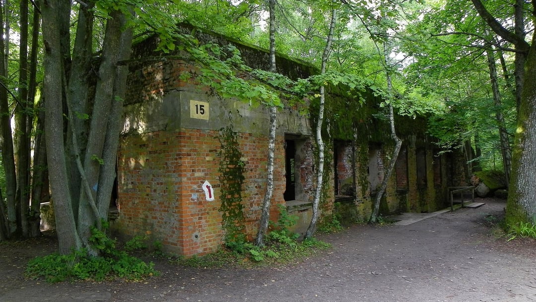 Zagadkowe znalezisko w Wilczym Szańcu. 5 szkieletów zszokowało archeologów