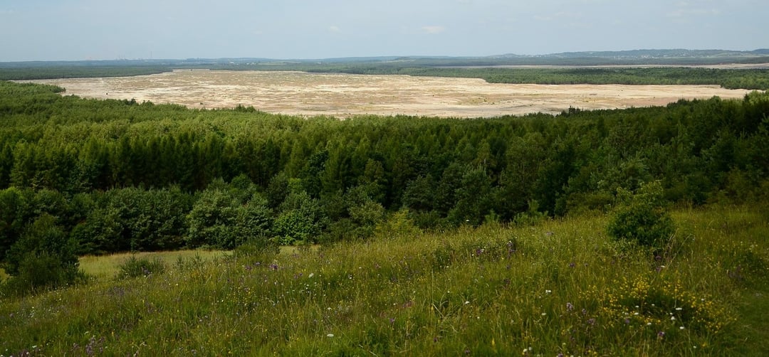 Jak powstała Pustynia Błędowska? „Polska Sahara” niewiele ma wspólnego z naturą