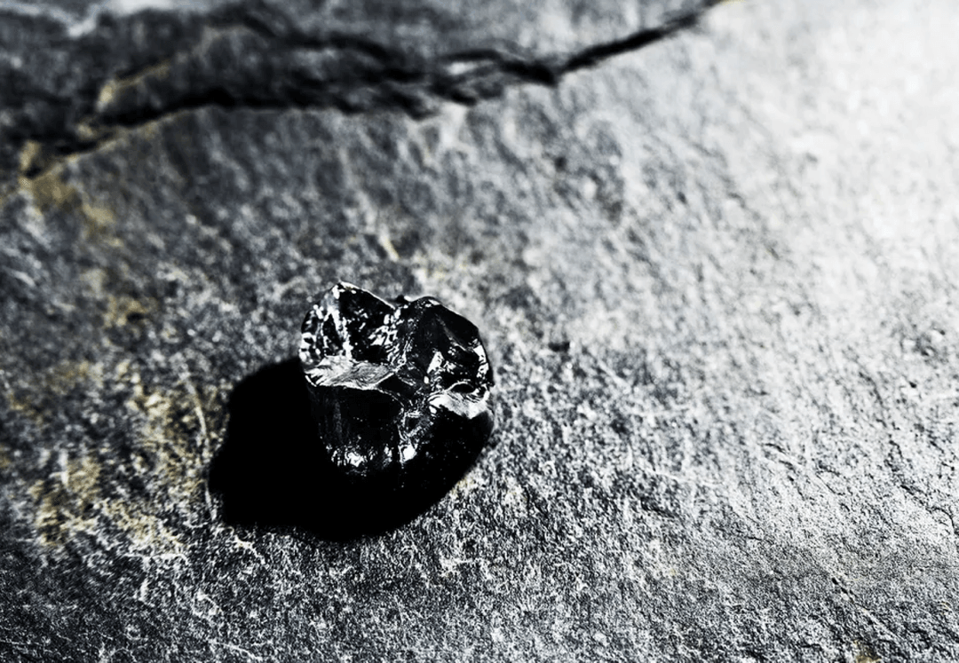 W Niemczech odkryto nieznany wcześniej gatunek małpy człekokształtnej