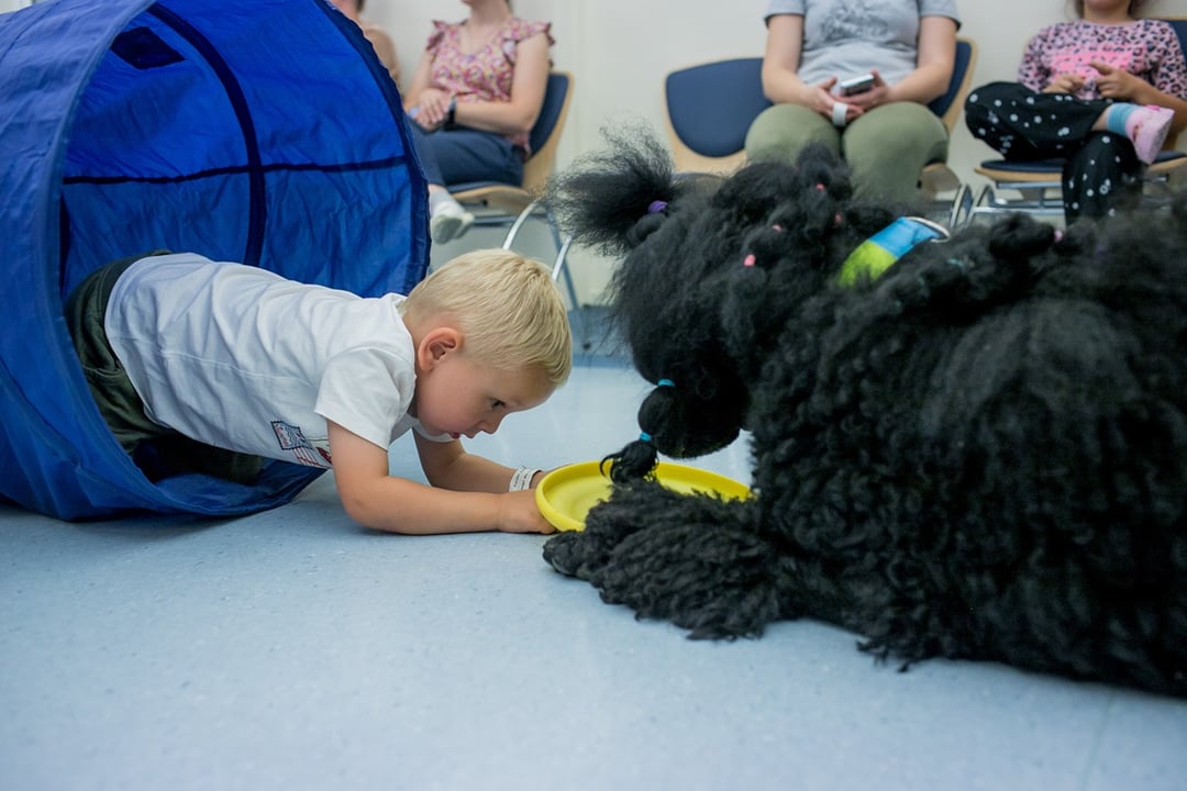 Dogoterapia naprawdę pomaga! Dzięki niej dzieci przełamują swoje bariery