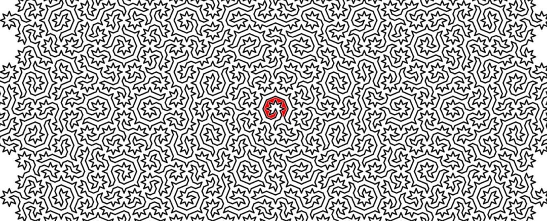 Najtrudniejszy labirynt w historii. Przypomina coś, co można znaleźć w naturze