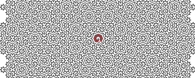 Najtrudniejszy labirynt w historii. Przypomina coś, co można znaleźć w naturze