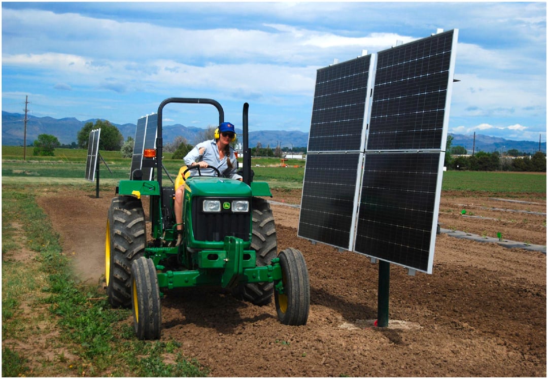 Jak rośnie sałata i pomidor w cieniu paneli słonecznych? Takich skutków nie przewidziano