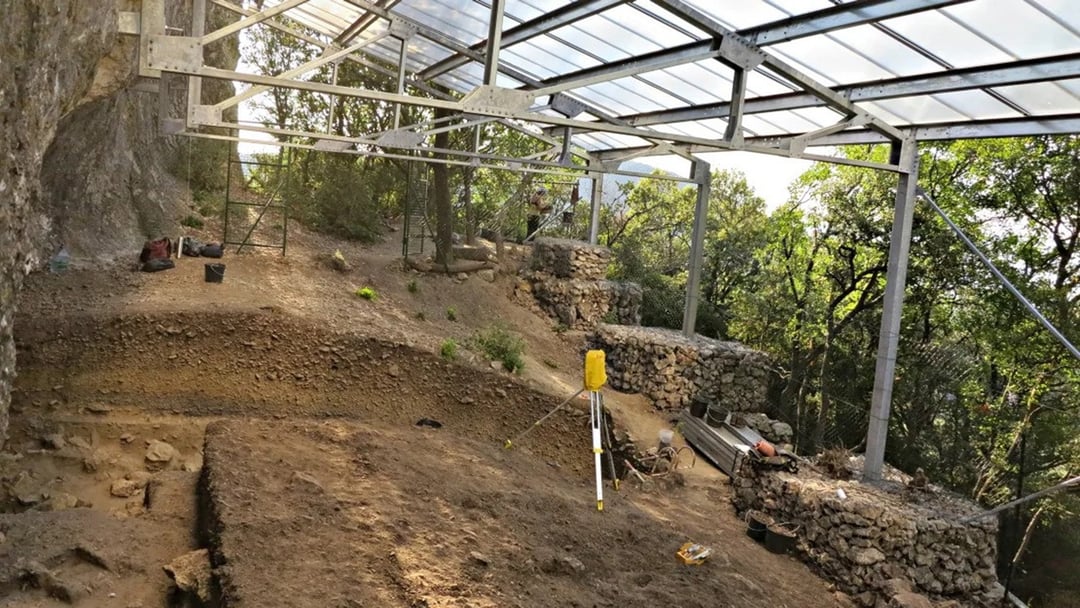 Zadziwiające wyniki badań poświęconych neandertalczykom. Nowe dowody zdradzają sekret tego gatunku