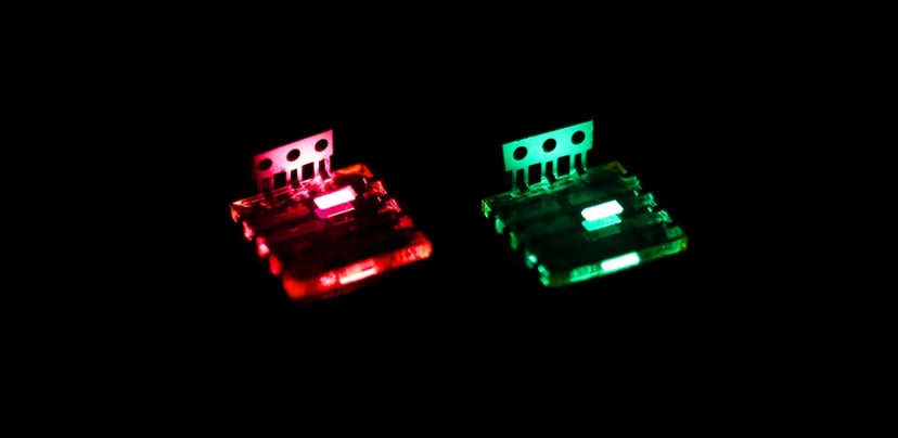 Perowskitowe diody LED. W Azji pojawiła się niecodzienna technologia