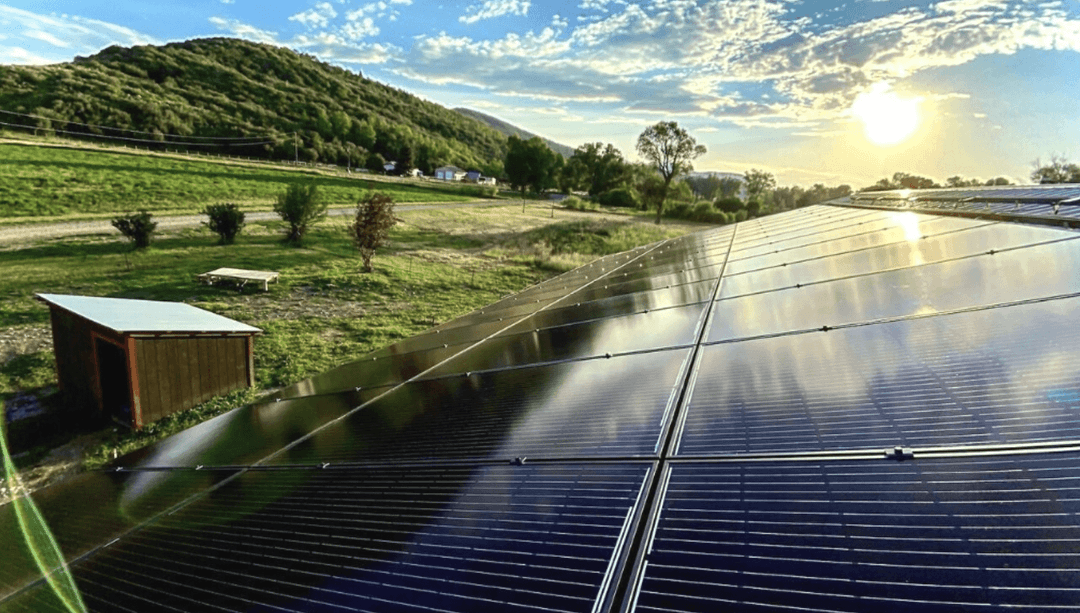 Te panele słoneczne to prawdziwy ewenement. Nikt wcześniej czegoś takiego nie stworzył