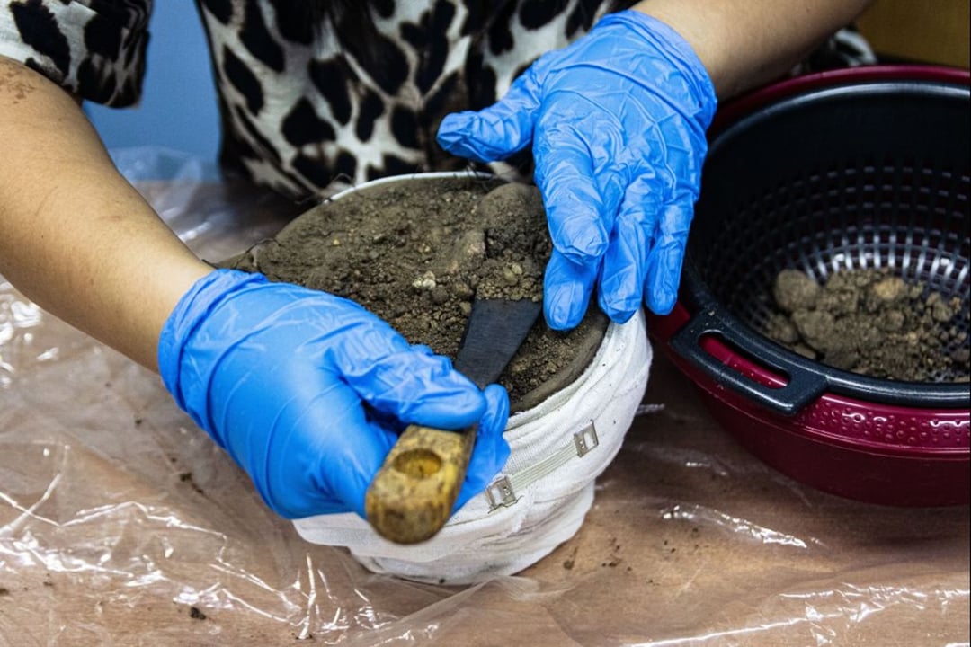 Niedaleko Łodzi znajduje się cmentarz związany z wymarłą kulturą. Archeolodzy dokonali tam nowych odkryć