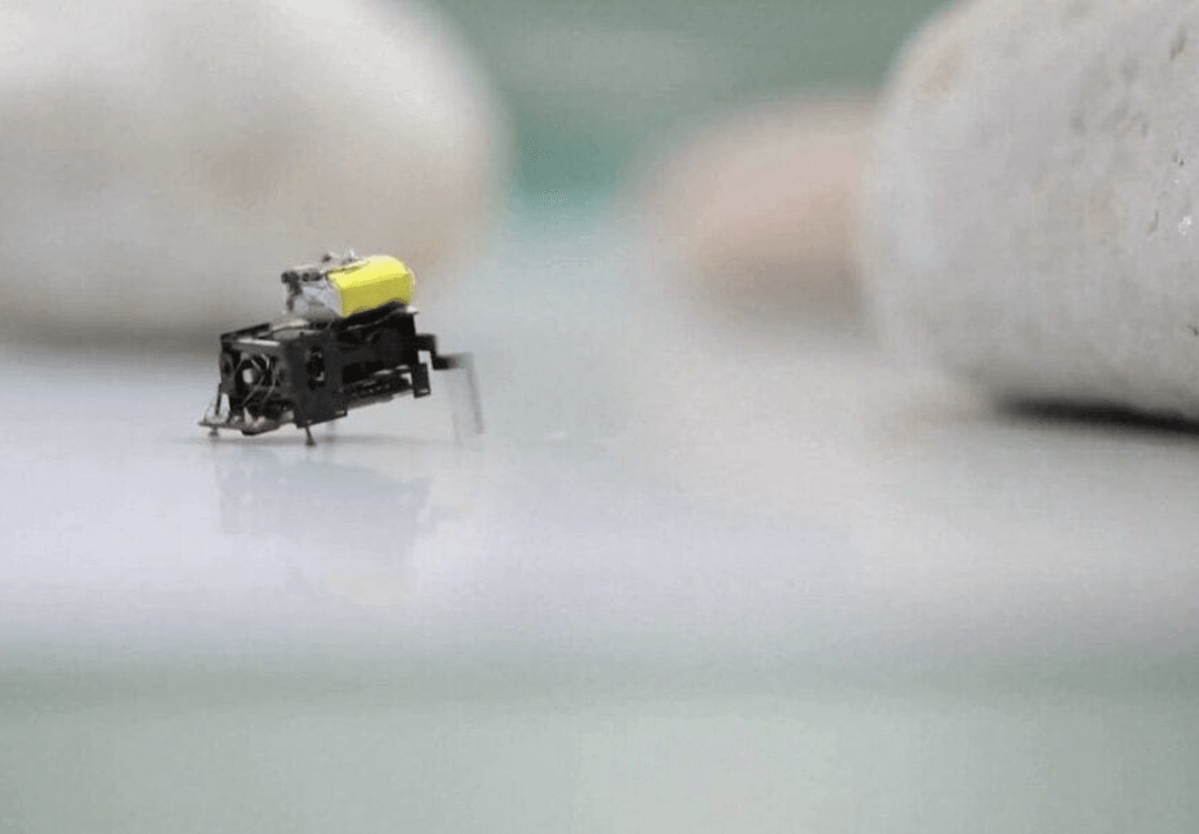 Najszybszy robot na świecie jest wielkości owada