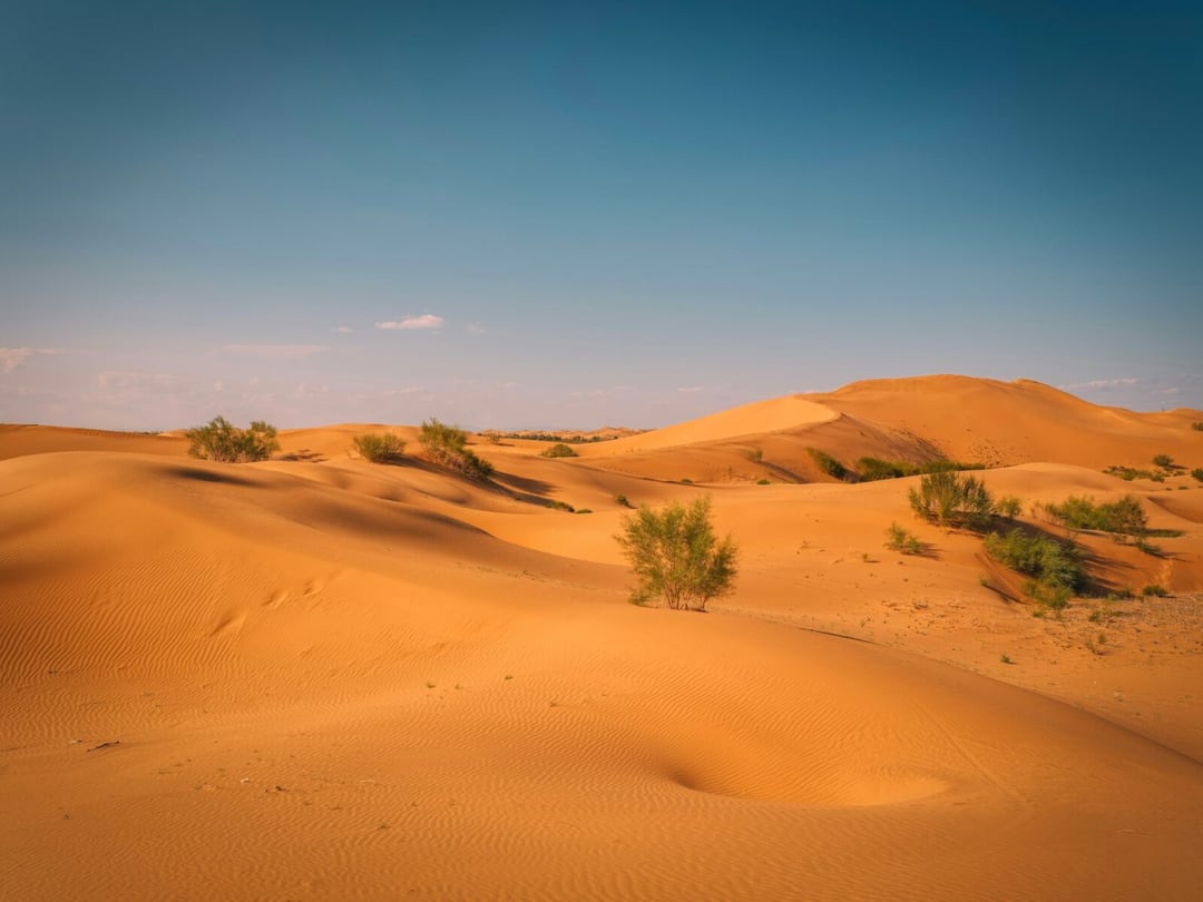 Radioaktywny pył z Sahary nad Polską. Naukowcy odkryli jego zaskakujące pochodzenie