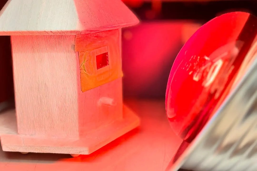 Przezroczyste drewno już wkrótce może pojawić się w Twoim domu. Jak to możliwe?