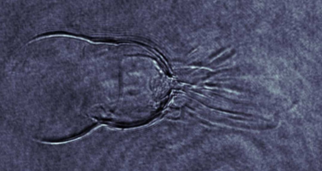 Zobacz, jak naukowcy okiełznali najbardziej nieprzewidywalną formę materii