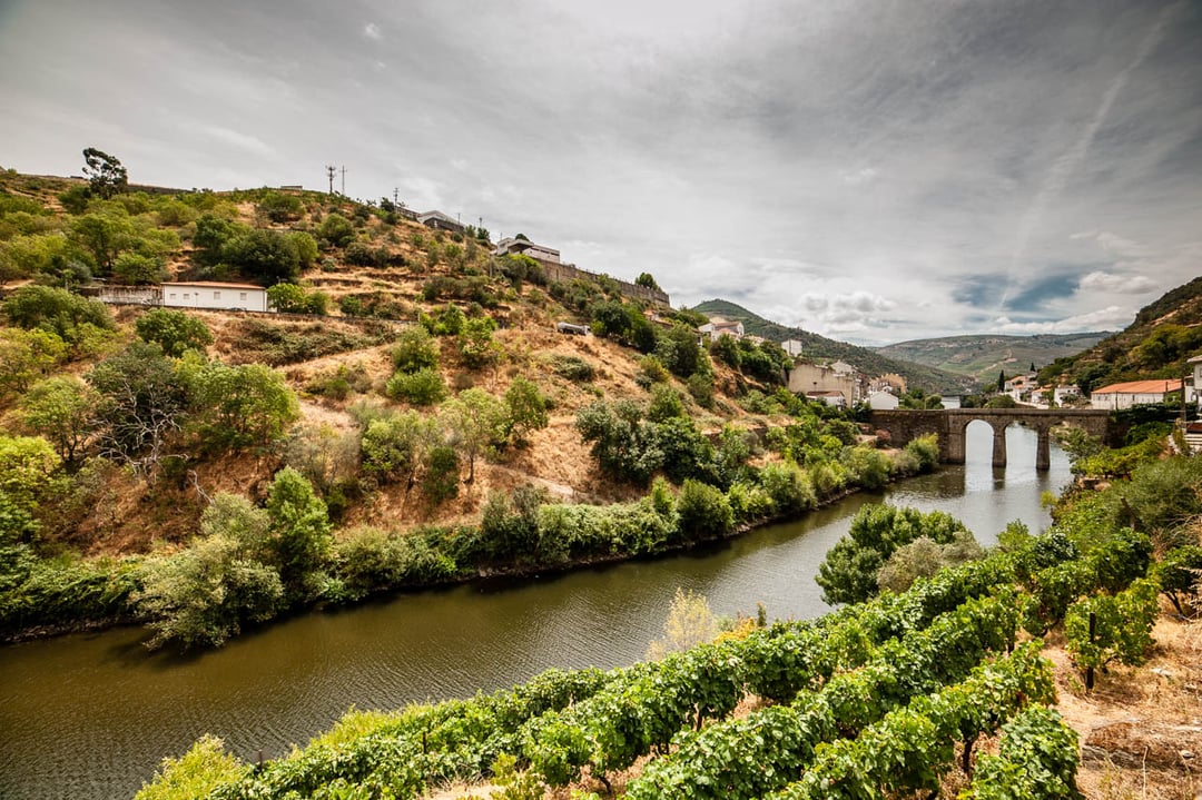 Ten zagadkowy dinozaur zamieszkiwał Portugalię 150 mln lat temu. Badacze nigdy jeszcze takiego nie widzieli