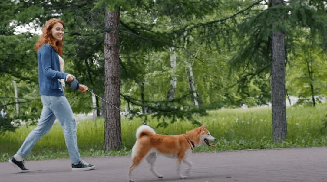 KZM. Ukłucie kleszcza może skończyć się niepełnosprawnością. Szczepimy się! [Wideo]