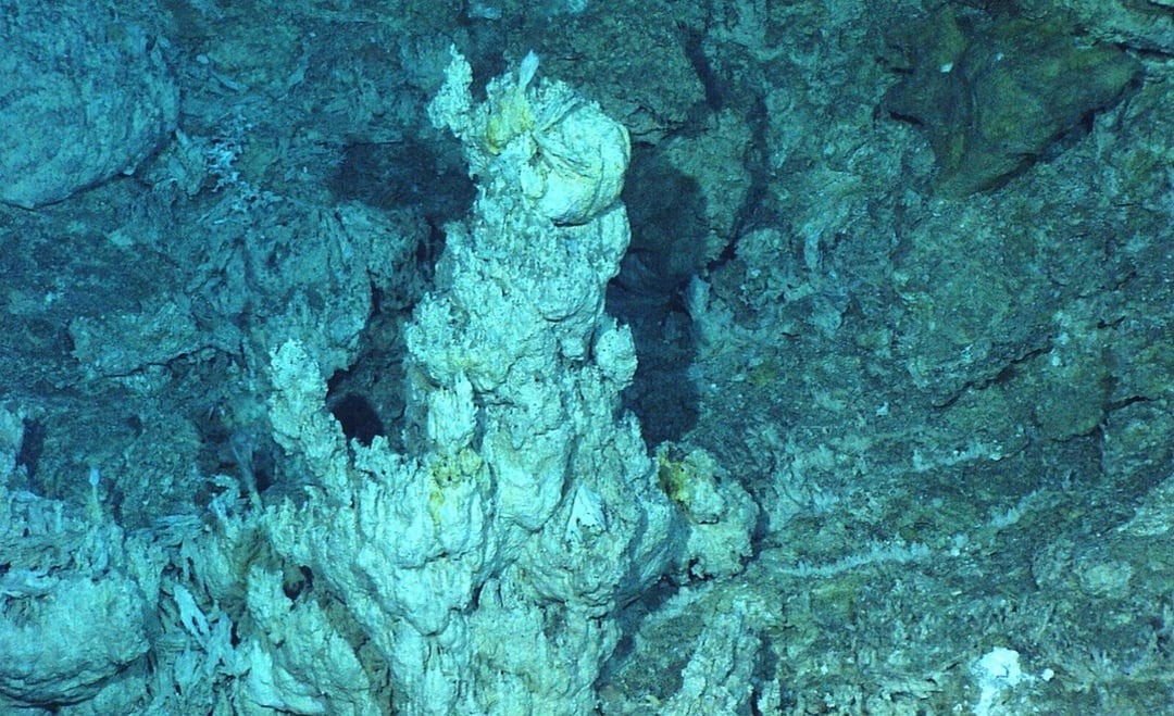 Podwodny wstrząs, a potem eksplozja życia na powierzchni, naukowcy trafili na brakujące ogniwo