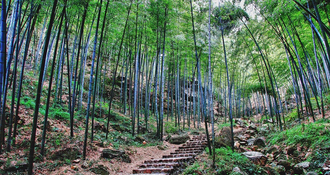 Prehistoryczny grobowiec z Azji zszokował archeologów. Stanowi część czegoś znacznie większego