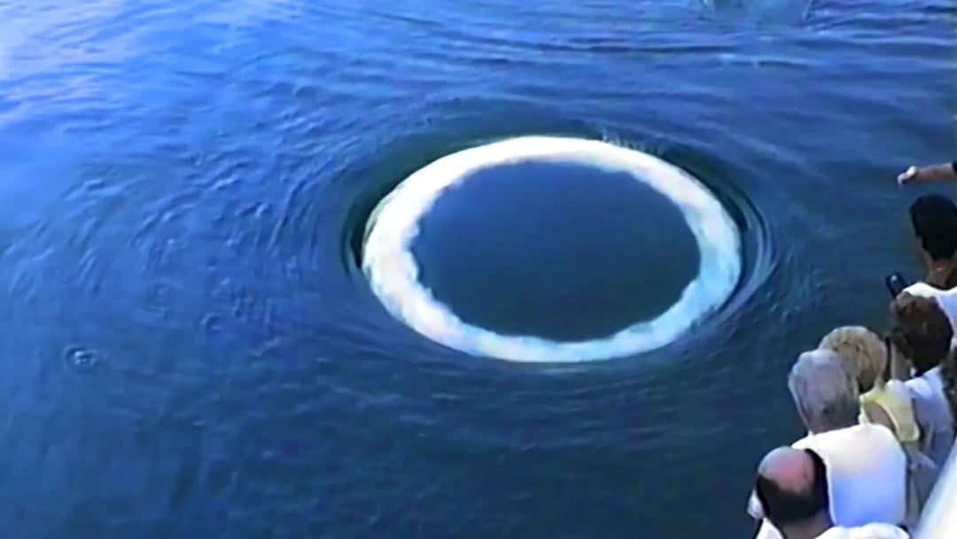 Ogromne kręgi pojawiły się na powierzchni oceanu. Poszukiwacze kosmitów wiedzą, co je stworzyło 