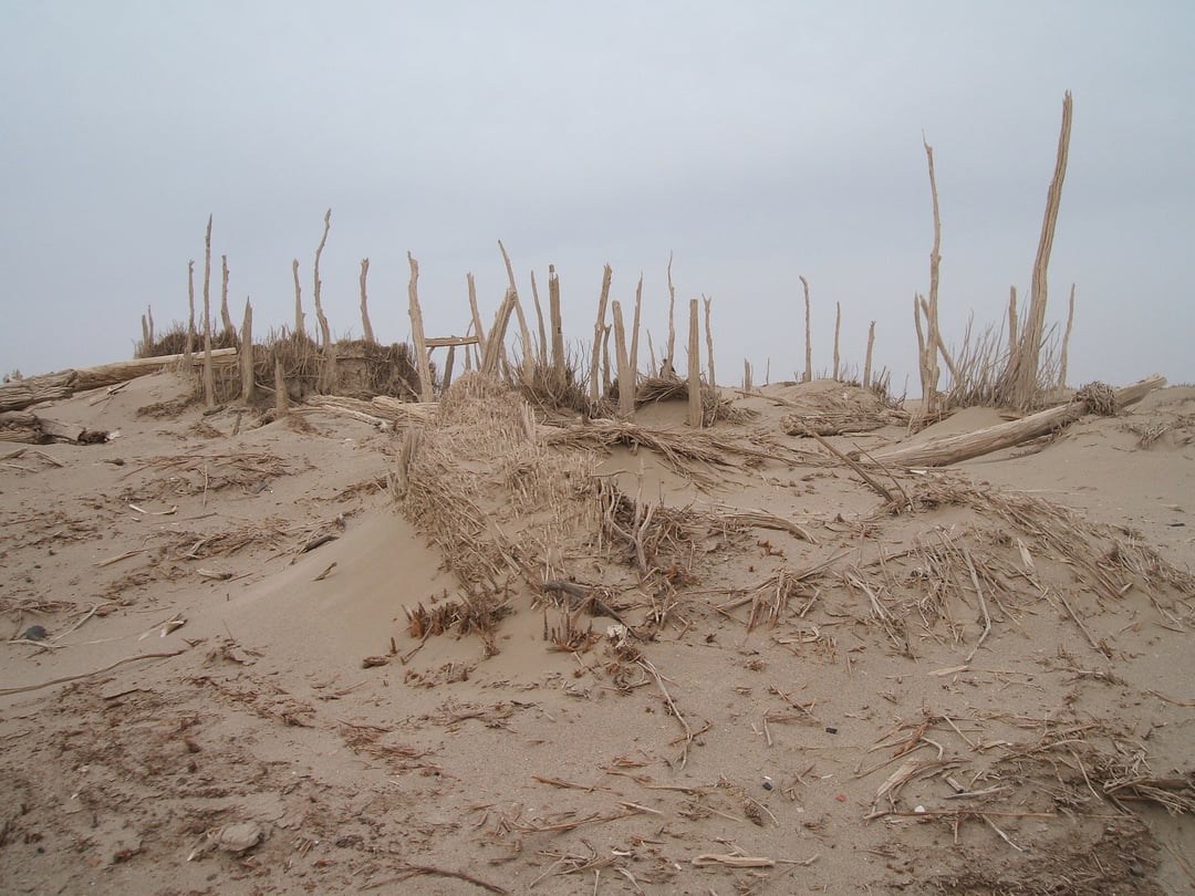 Łodzie na środku pustyni zawierają ludzkie szczątki. Nikt się tego nie spodziewał
