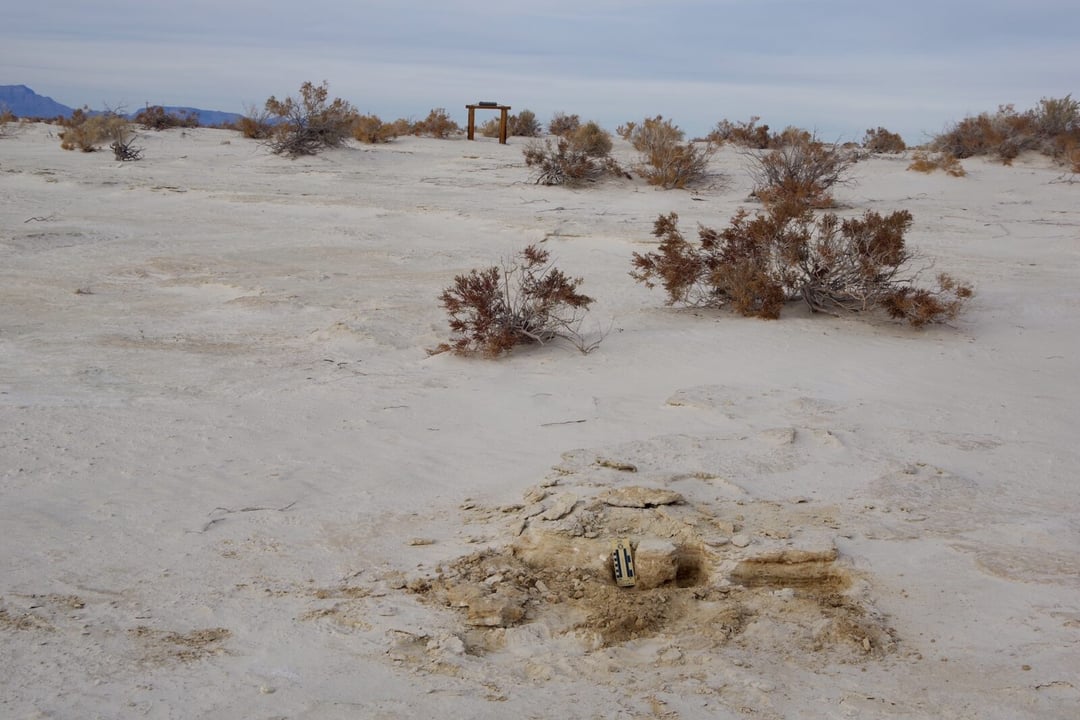 Prehistoryczne ślady podważają naukowy konsensus o migracji człowieka. Ameryka była zamieszkana podczas epoki lodowcowej