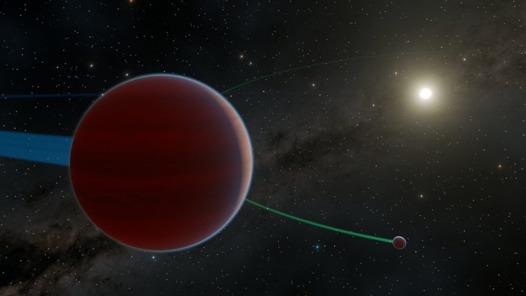 Ciepły jowisz i jego tajemniczy towarzysz. Niezwykła dynamika planet układu KOI-134