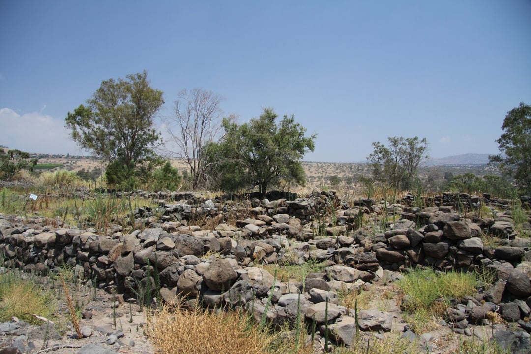 Płomienie odkryły biblijne miasto apostołów. Naukowcy znaleźli dowody na istnienie Betsaidy!