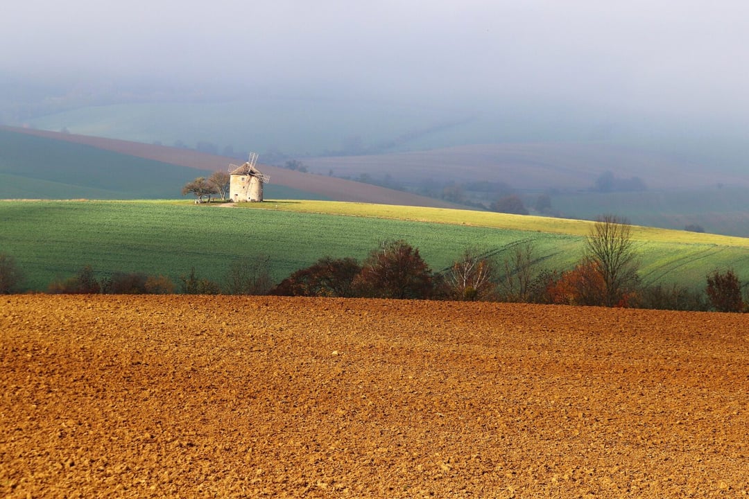 Tajemniczy pochówek zawierał prehistoryczne szczątki. Naukowcy przywrócili je do życia