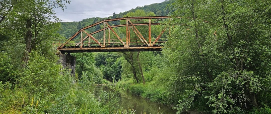 Rzeka płynąca w przeciwnym kierunku niż reszta Polski. Odkryj tajemnice nowego rezerwatu przyrody