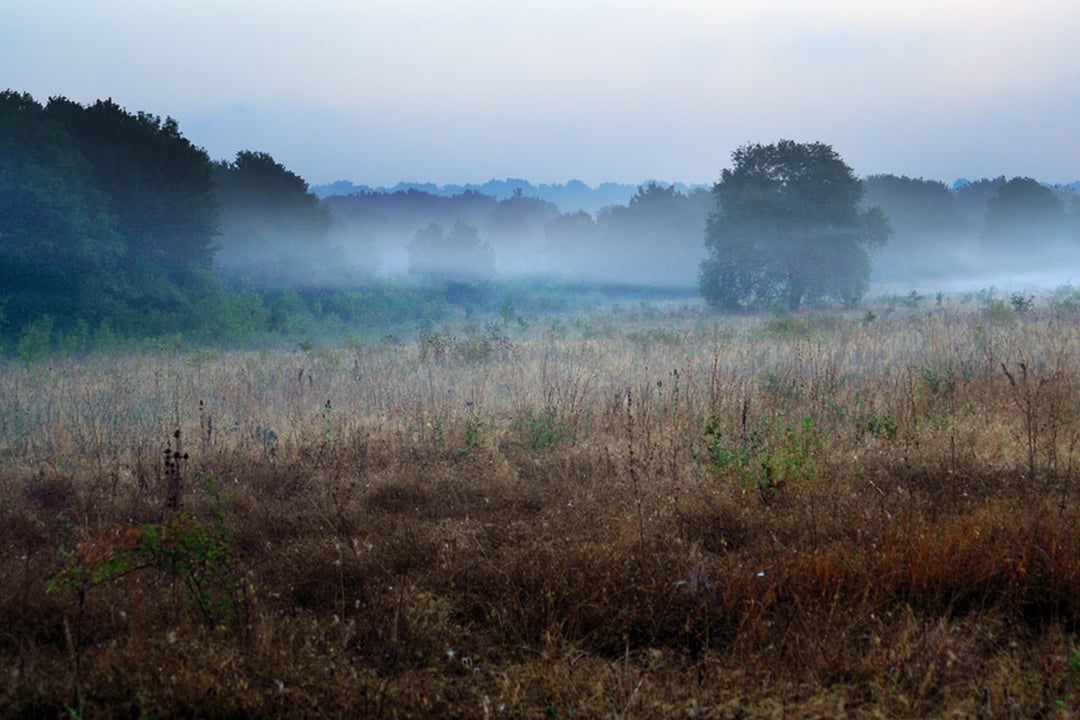 Lwy polowały na ludzi w starożytnej Europie. Jeden chłopak przeżył i ujawnił sekret swojej społeczności